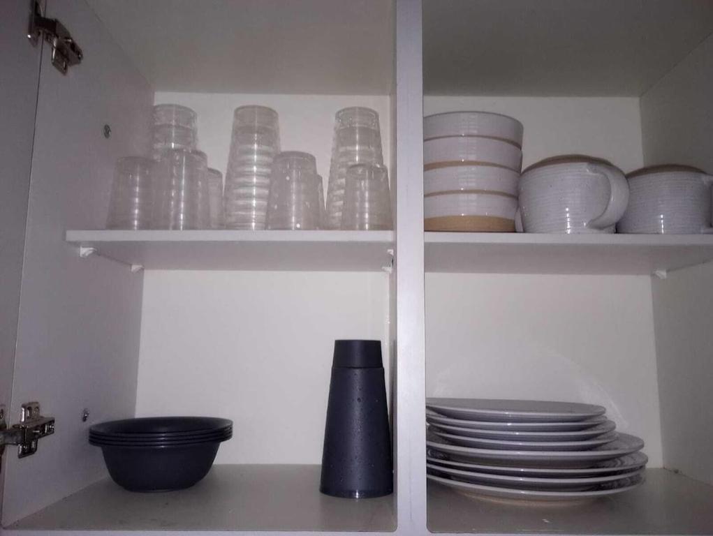 ريو غراندي Family House Rain Forest And Beaches Pet Friendly المظهر الخارجي الصورة