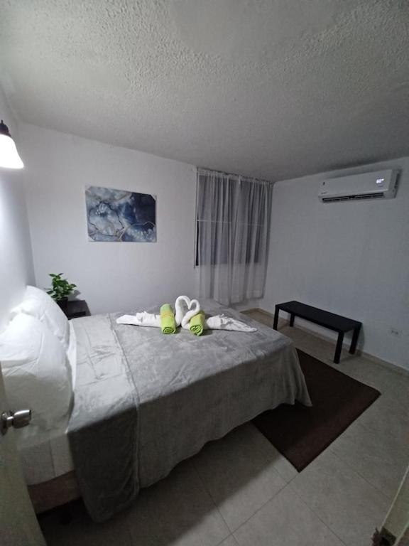 ريو غراندي Family House Rain Forest And Beaches Pet Friendly المظهر الخارجي الصورة