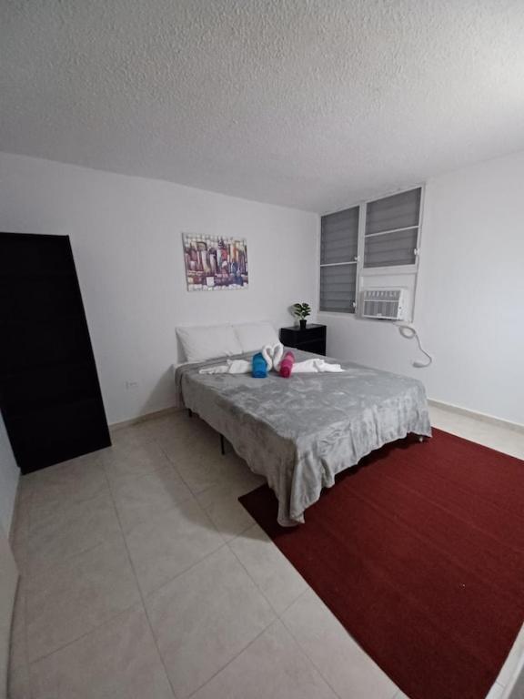ريو غراندي Family House Rain Forest And Beaches Pet Friendly المظهر الخارجي الصورة